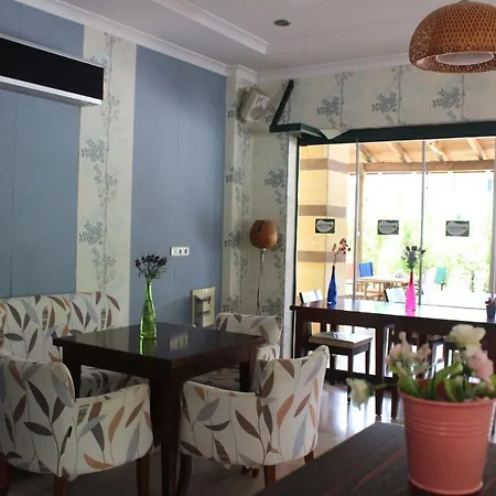 阿乌鲁酒店 酒店 凯梅尔